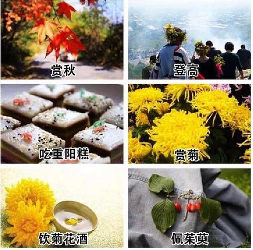 重阳节有什么习俗，9月9日重阳节有什么风俗！